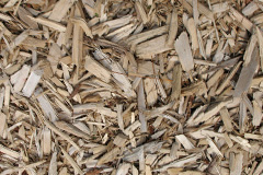 biomass boilers Trevarrian